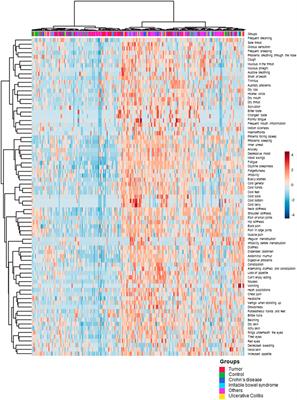 Traditional clinical symptoms and signs: Kampo pattern diagnosis in modern gastrointestinal disease